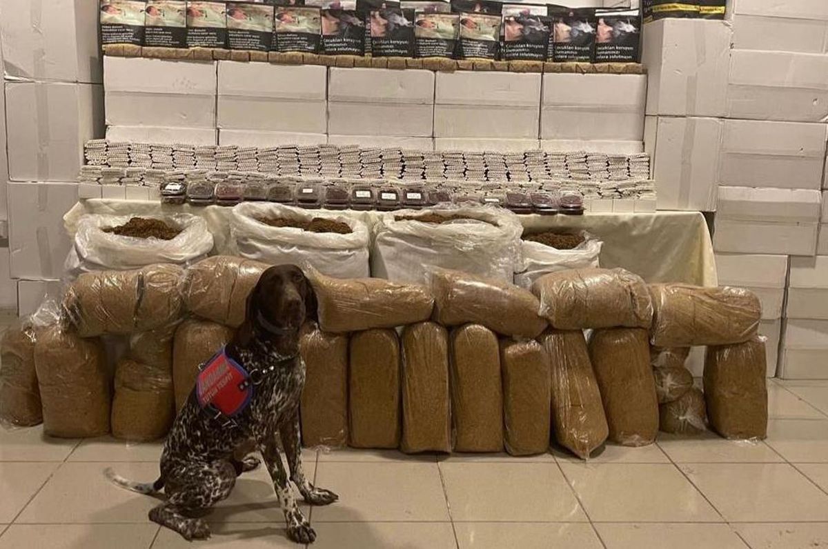 Kocaeli\'de 2 milyon 30 bin makaron ele geçirildi