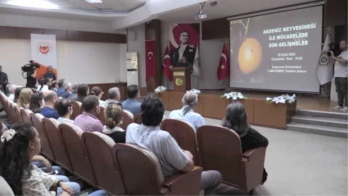 Adana\'da Akdeniz meyve sineğine karşı mücadele değerlendirildi