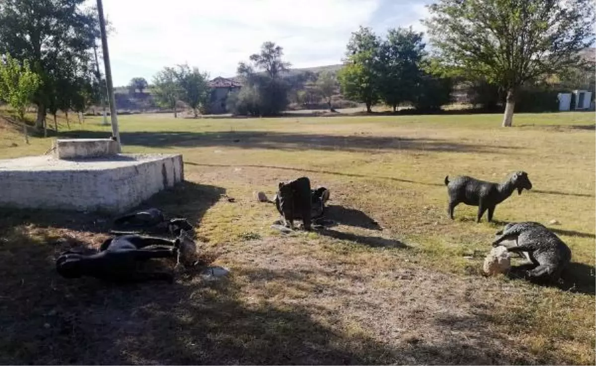 Denizli gündem haberi: Denizli\'de 8 asırlık yarışmanın simgesi heykellere zarar verildi
