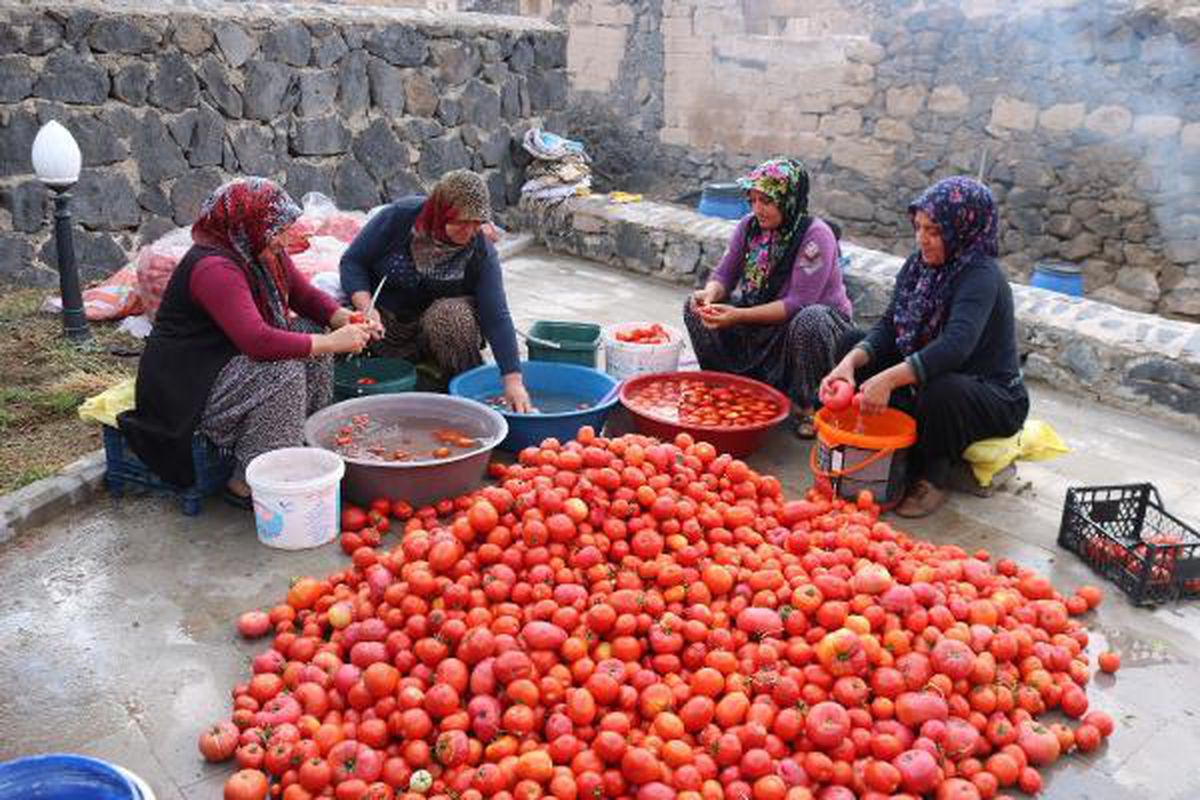 Kadınlar kurdukları kooperatifle aile ekonomisine katkı sağlıyor