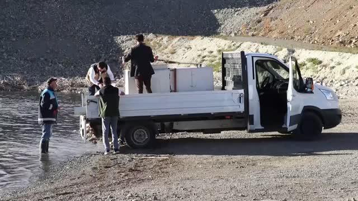 Bayburt\'taki Kırklartepe Barajı\'na 232 bin sazan yavrusu bırakıldı