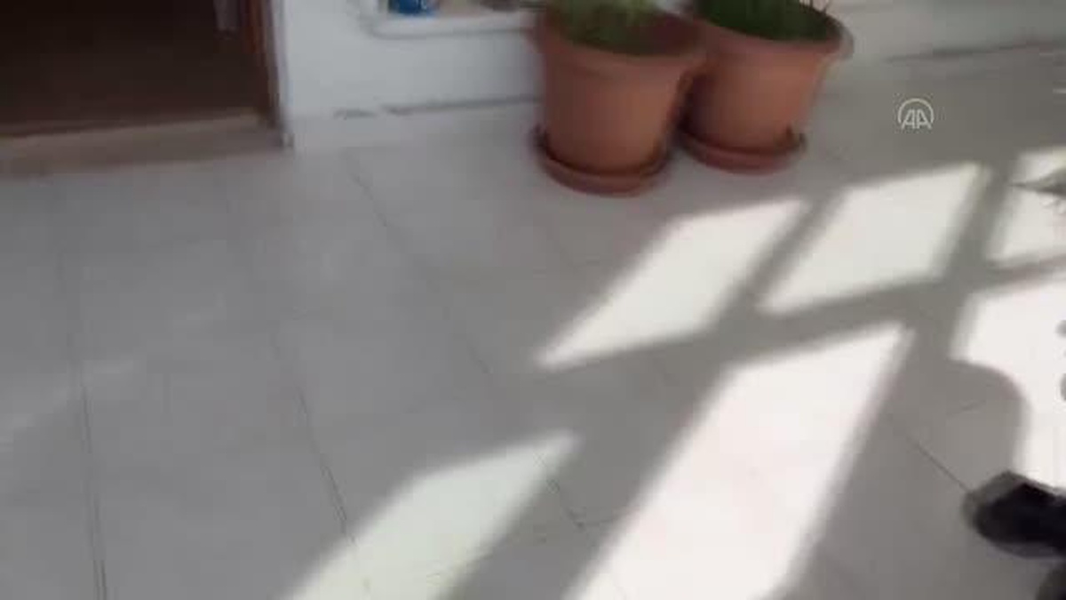 İstanbul\'da patlamış mısır kutusunda uyuşturucu satan zanlı tutuklandı