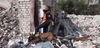 Rus güçlerinin çekildiği İzyum'da kadavra köpekleri ceset arıyor