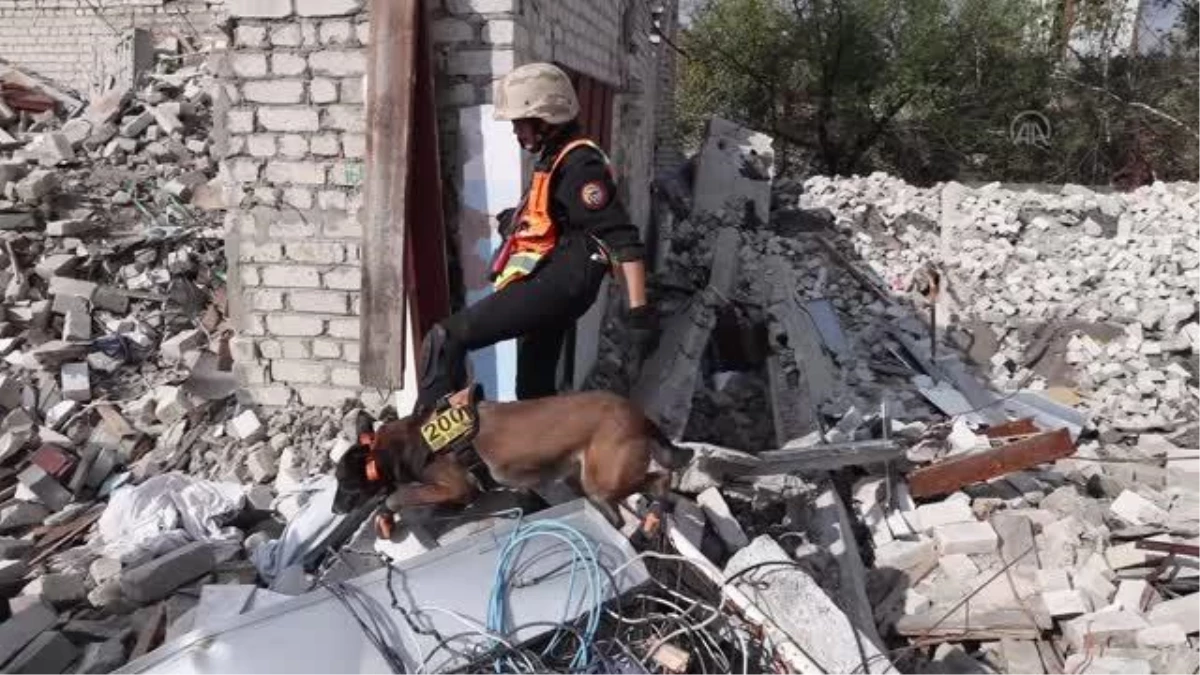 Rus güçlerinin çekildiği İzyum\'da kadavra köpekleri ceset arıyor