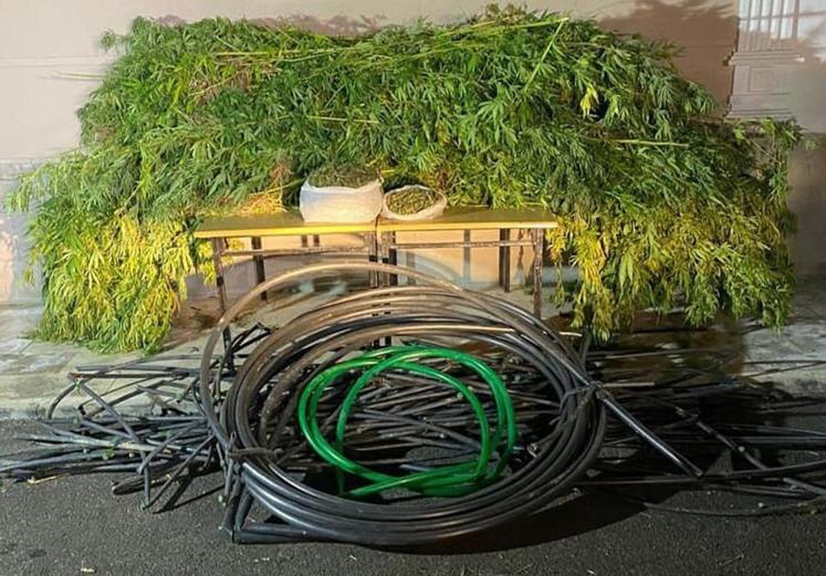 Adana\'da 7 kilo 212 gram esrar ele geçirildi
