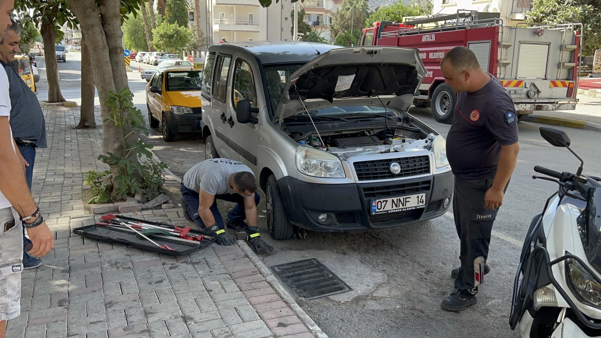 Alanya\'da otomobilin motor kısmına sıkışan yavru kediyi itfaiye kurtardı