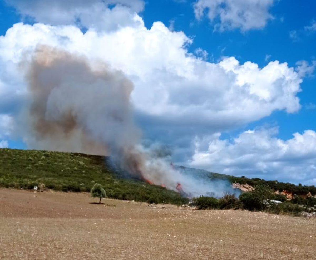 Çanakkale\'de çıkan orman yangınına müdahale ediliyor