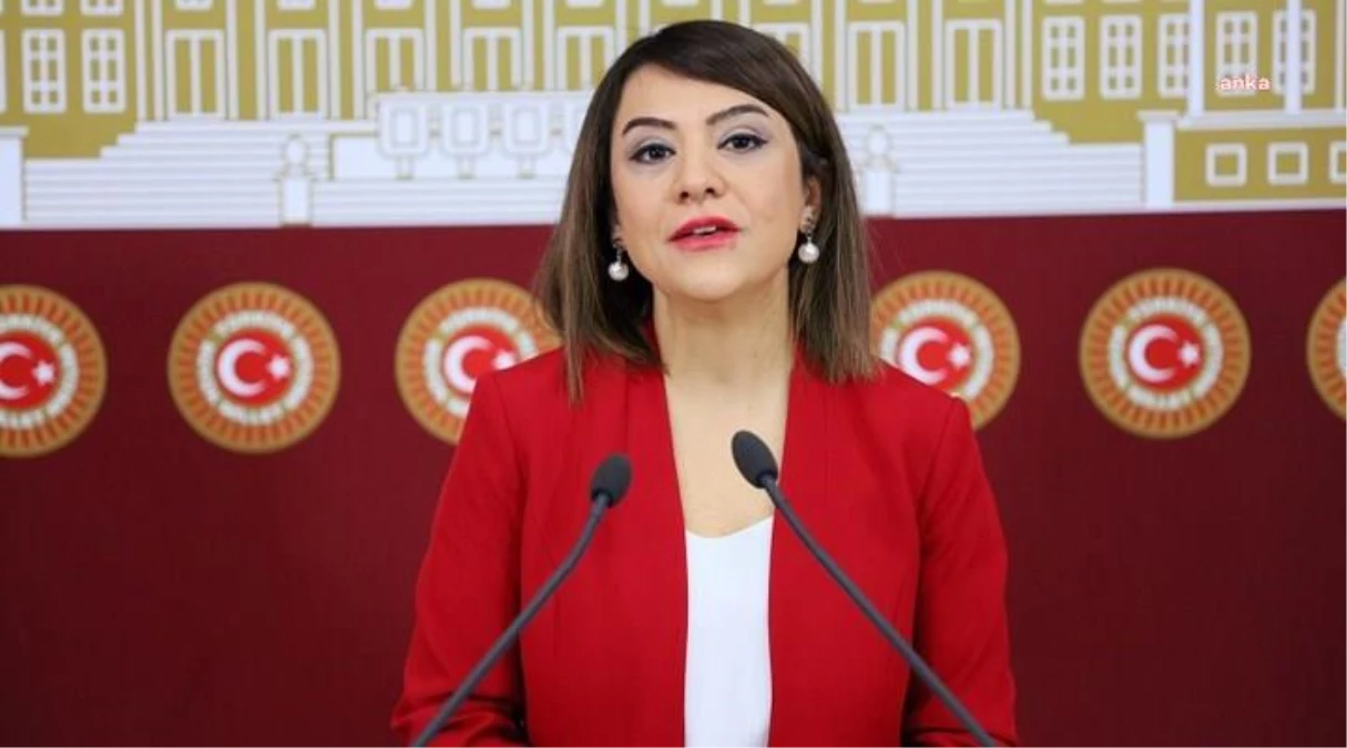 Gamze Taşcıer, Sayıştay\'ın Sağlık Bakanlığı 2021 Yılı Denetim Raporu\'nu Meclis Gündemine Taşıdı: "Devlet Soyuluyor, AKP Seyrediyor"
