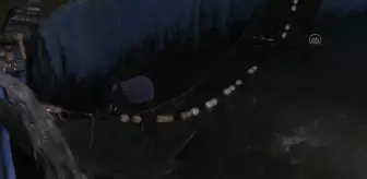 Gazze'de balıkçılar 1,5 aylık aranın ardından Batı Şeria'ya balık satışına başladı