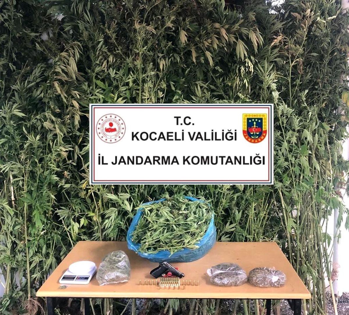 Kocaeli\'de 4 kilo 825 gram esrar ele geçirildi