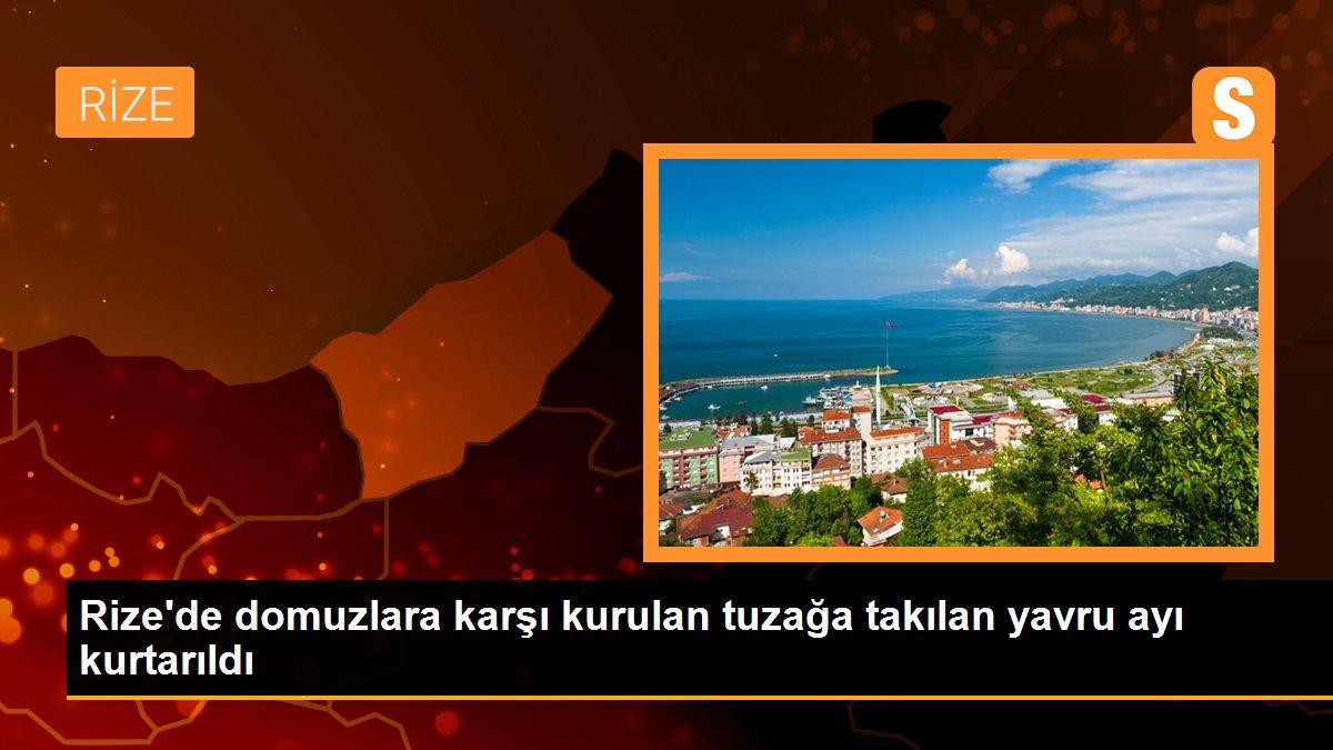 Rize\'de domuzlara karşı kurulan tuzağa takılan yavru ayı kurtarıldı