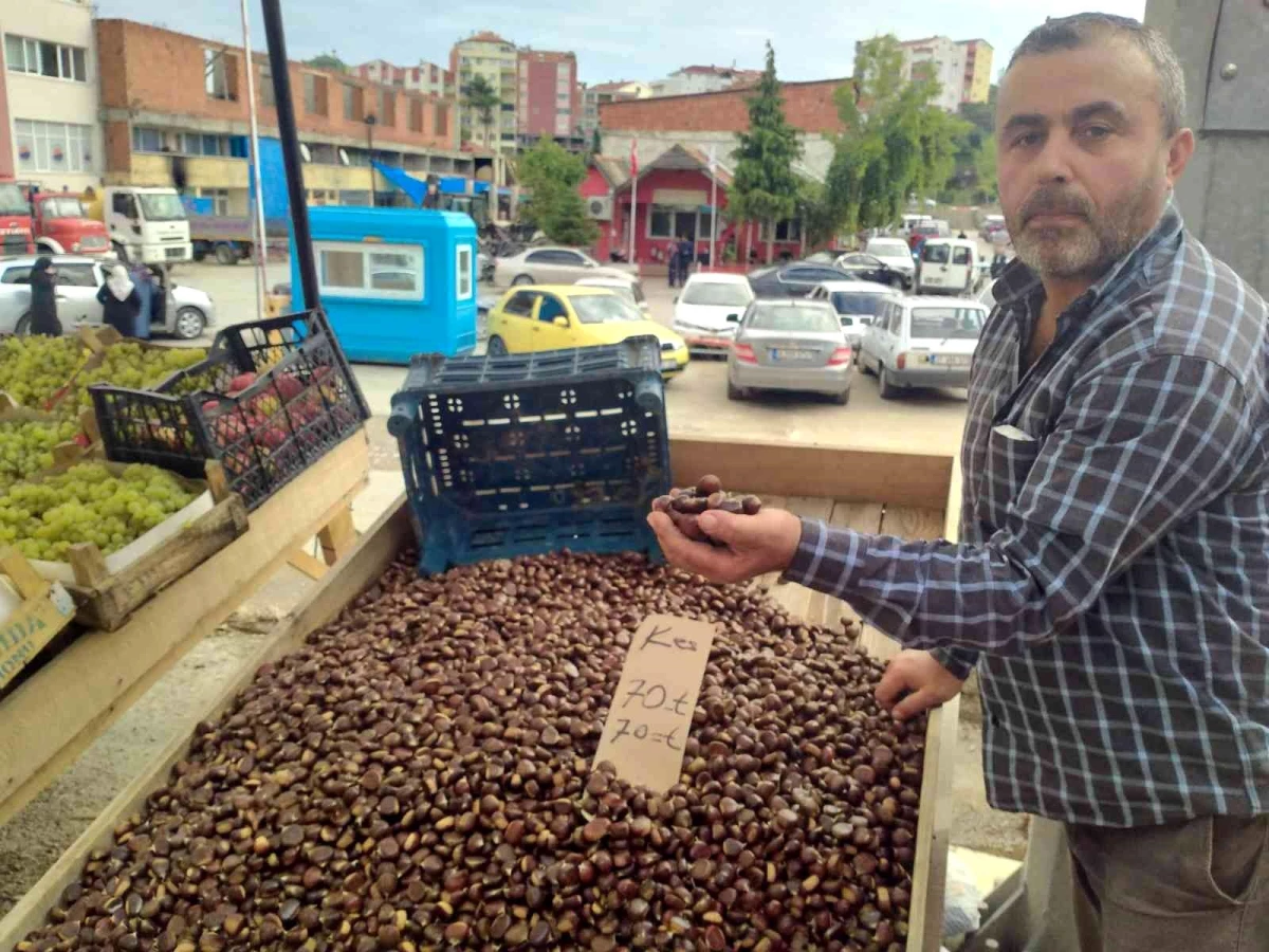 Vatandaşın ormandan topladığı kestaneler kilosu 70 liradan alıcı buluyor