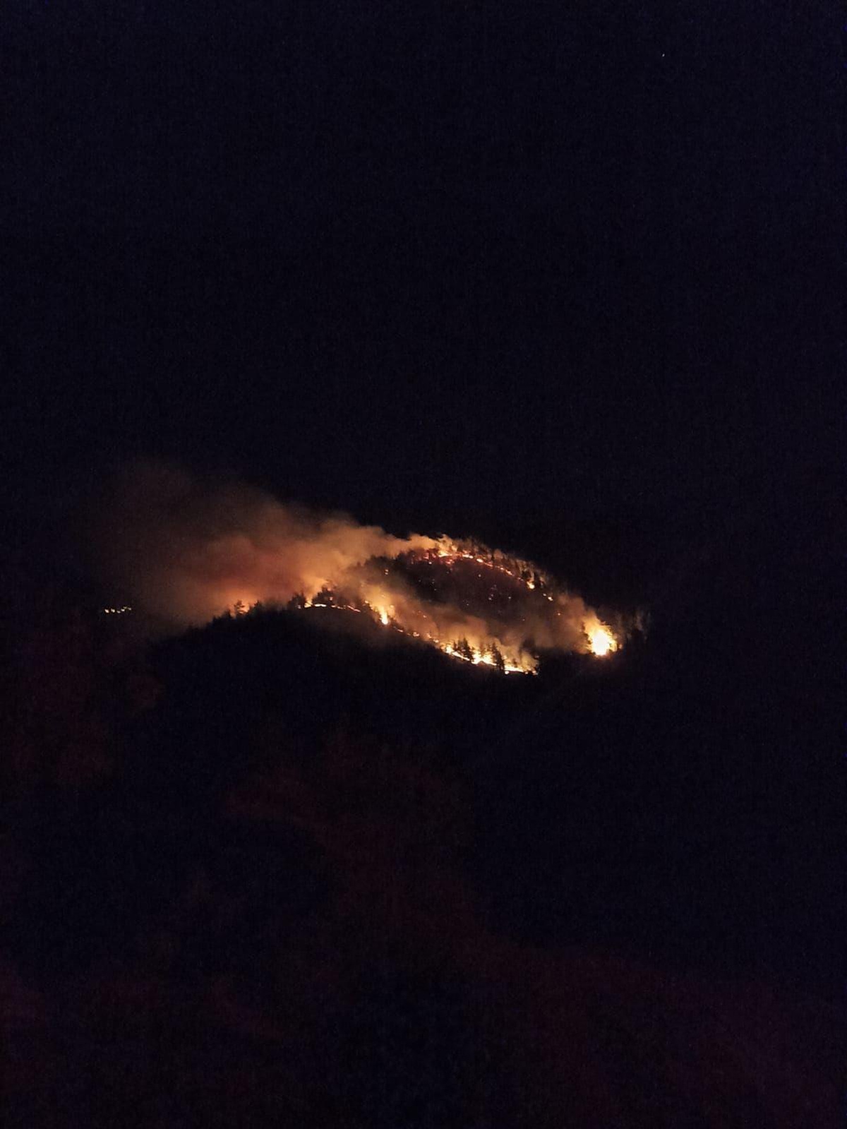 Uşak\'ta çıkan orman yangınına müdahale ediliyor
