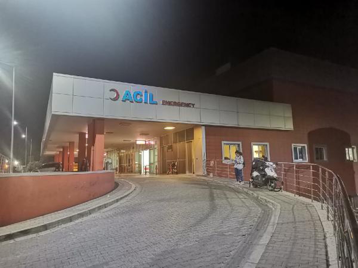 Almanya\'dan ziyarete gelen kardeşini bıçakladı