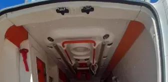 Ambulanstan 12 kaçak göçmen çıktı