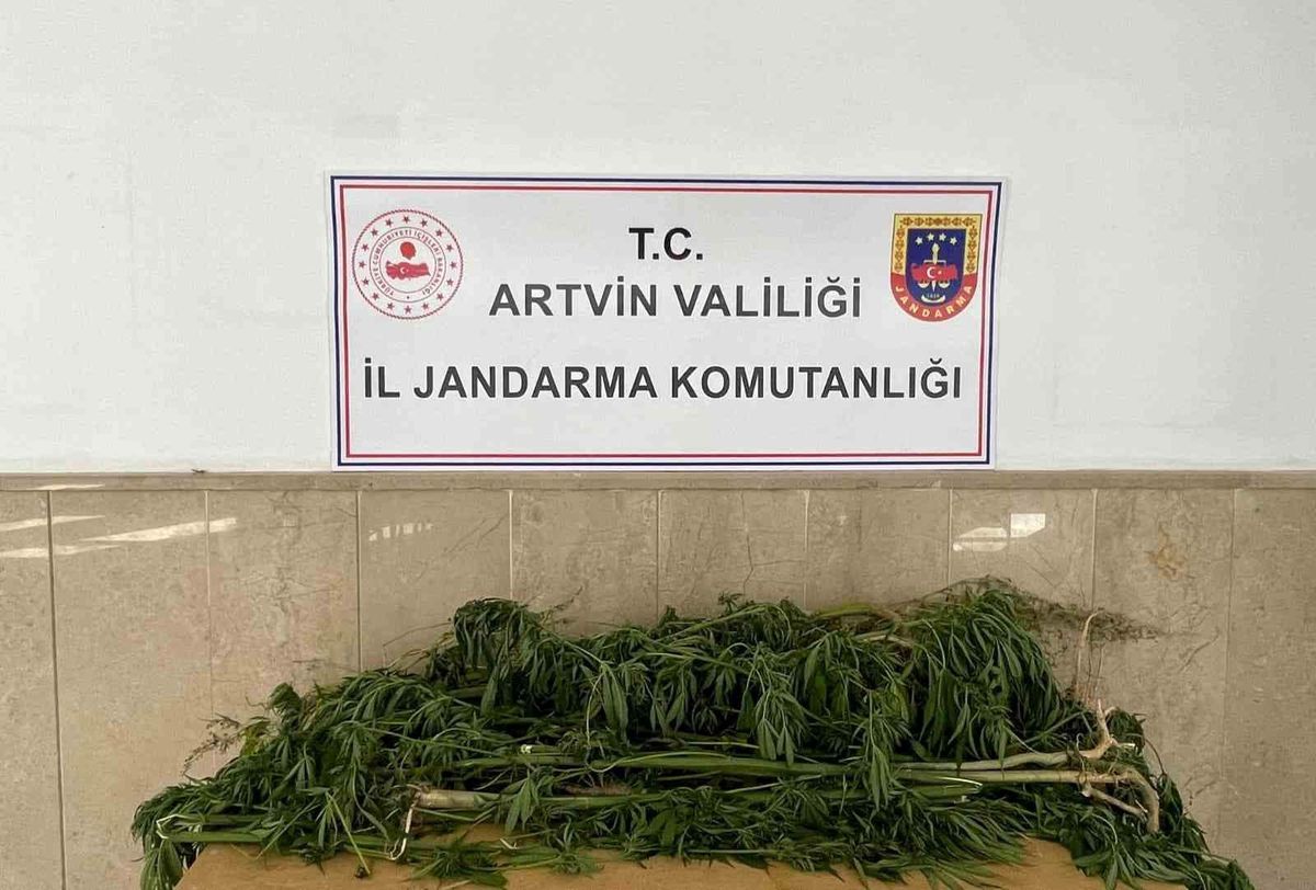 Artvin\'de uyuşturucu operasyonunda 2 zanlı gözaltına alındı