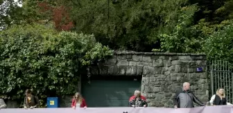 Hırvatistan'da 'İranlı kadınlarla dayanışma' gösterisi