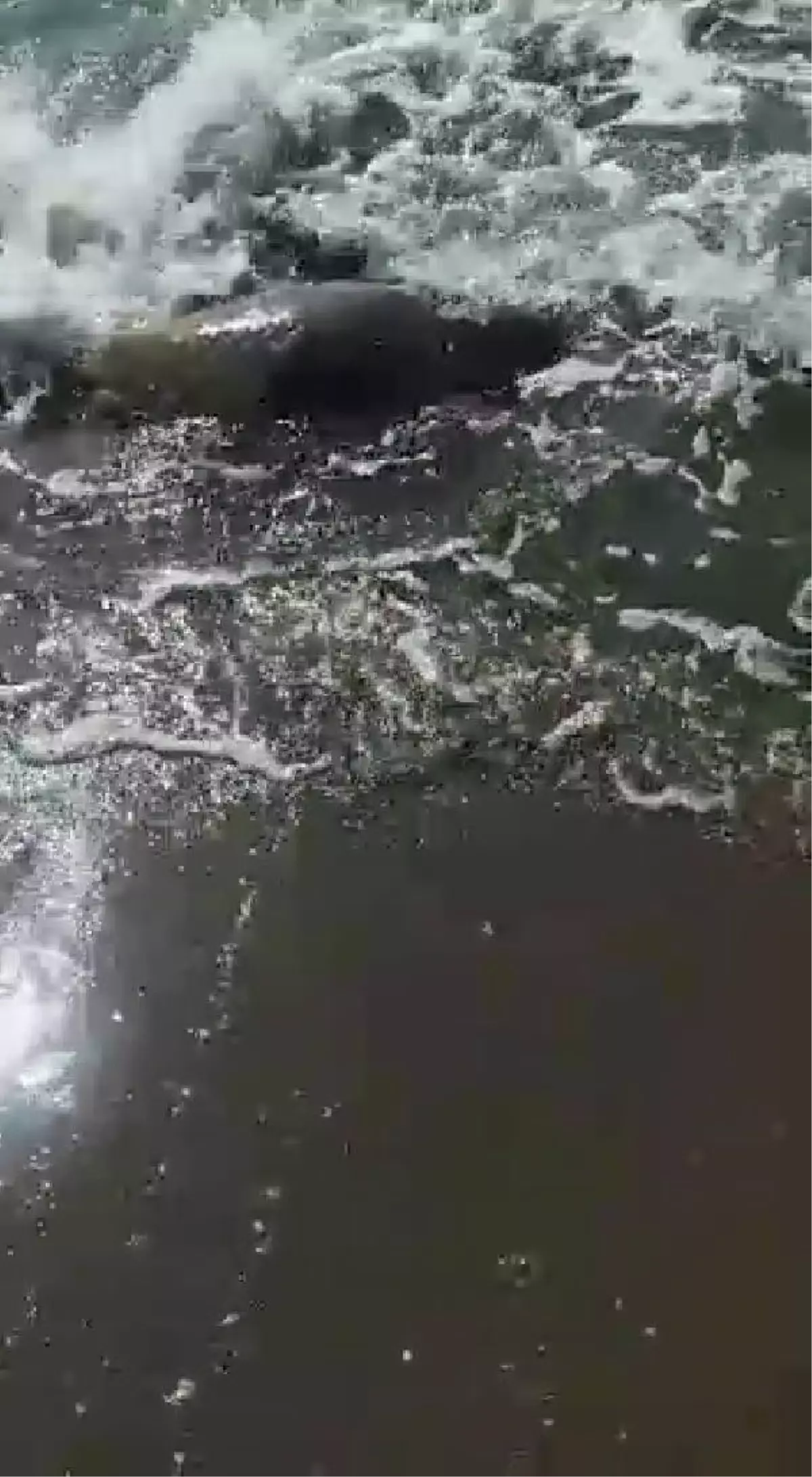 Son dakika haberleri! Karaya vuran caretta carettaya jandarmadan yardım eli