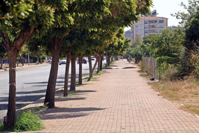 Antalya'da Afrika sıcakları! Termometreler 45 dereceyi gördü Antalya'da Afrika sıcakları! Termometreler 45 dereceyi gördü