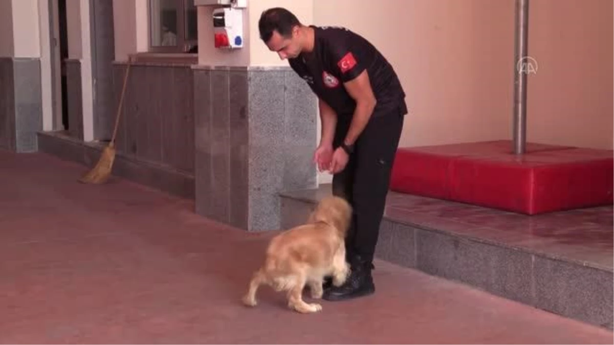 İtfaiyecilerin sahiplendiği köpek personelin yanından ayrılmıyor