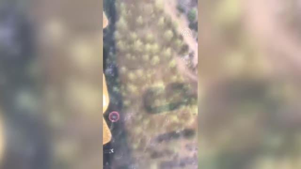 Adana\'da ormanlık alanda çıkan yangın kontrol altına alındı