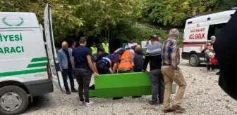 Son dakika haber... Şelale ziyaretinde ağaç devrilmesiyle 2 kişinin ölümüne soruşturma