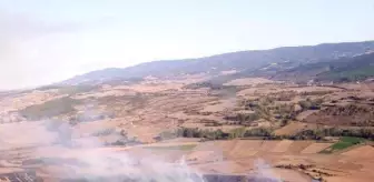 Tekirdağ haber... Tekirdağ'da çıkan orman yangını söndürüldü