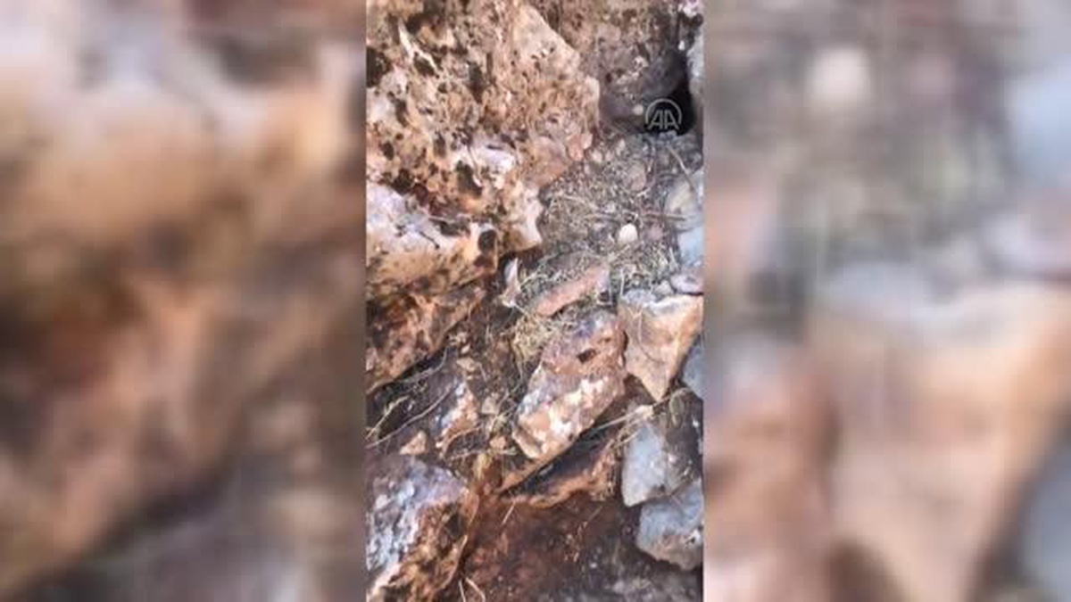 Adıyaman\'da terör operasyonunda yaşam malzemeleri ele geçirildi