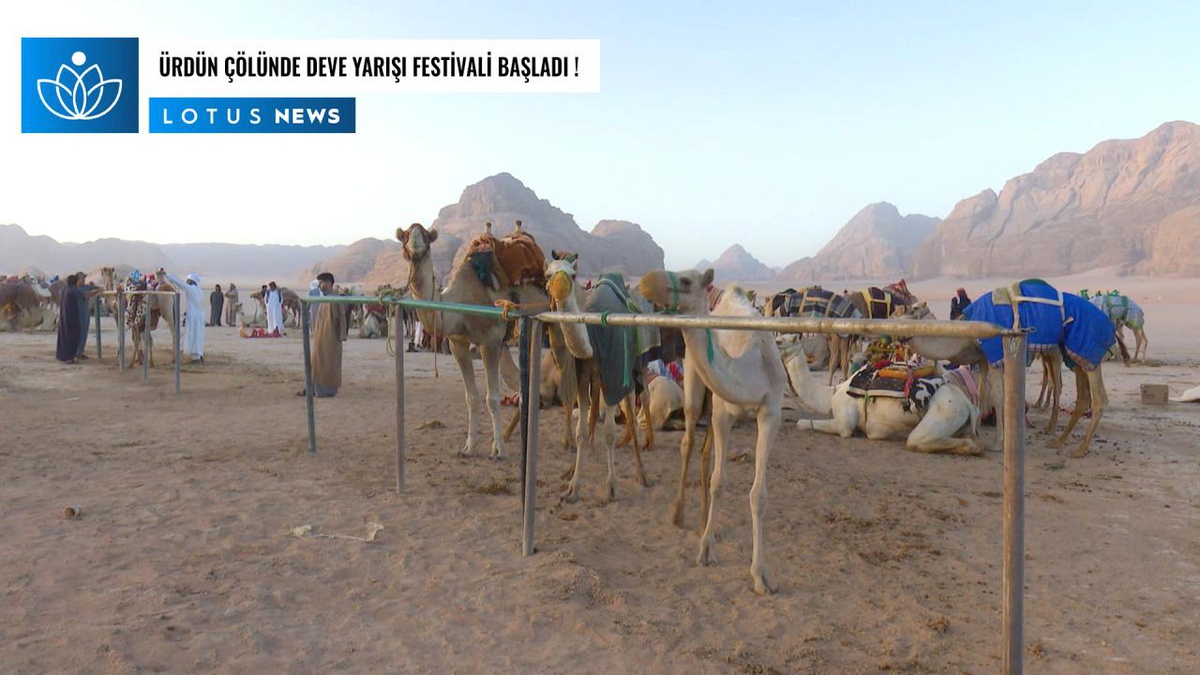 Video: Ürdün Çölünde Deve Yarışı Festivali Başladı