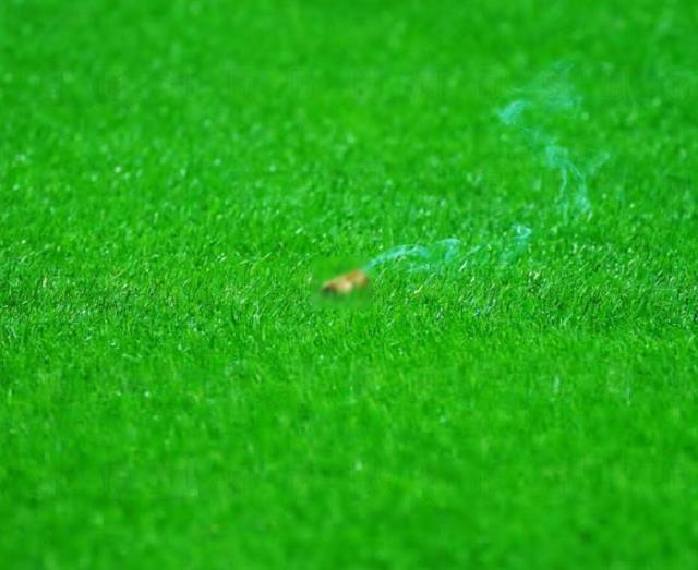 Beşiktaş'ın derbide sık sık ofsayta düşmesine sinirlenen taraftarın yan hakeme fırlattığı madde olay oldu Beşiktaş'ın derbide sık sık ofsayta düşmesine sinirlenen taraftarın yan hakeme fırlattığı madde olay oldu