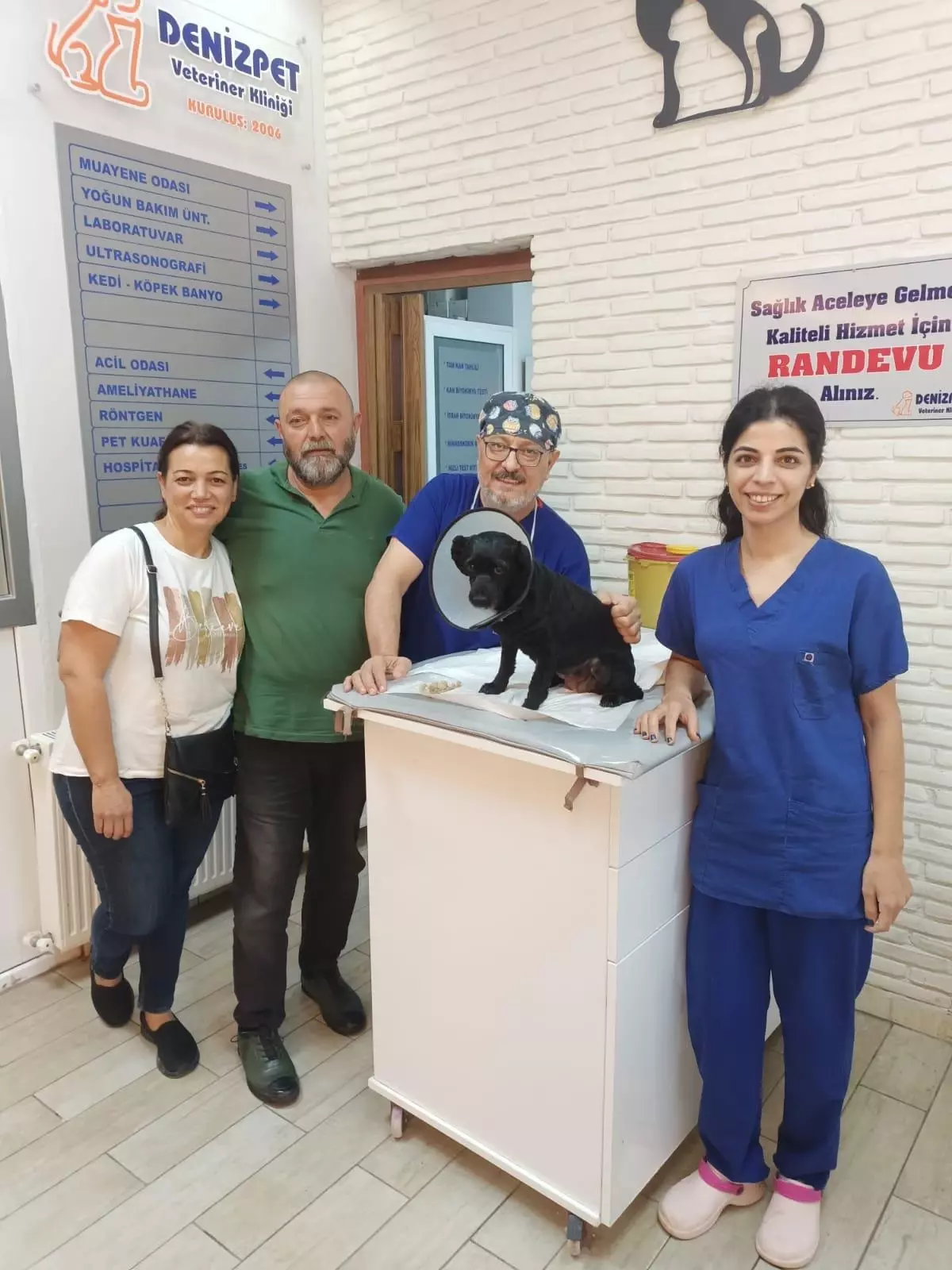 Adana\'da köpeğin mesanesinden 55 taş çıkartıldı