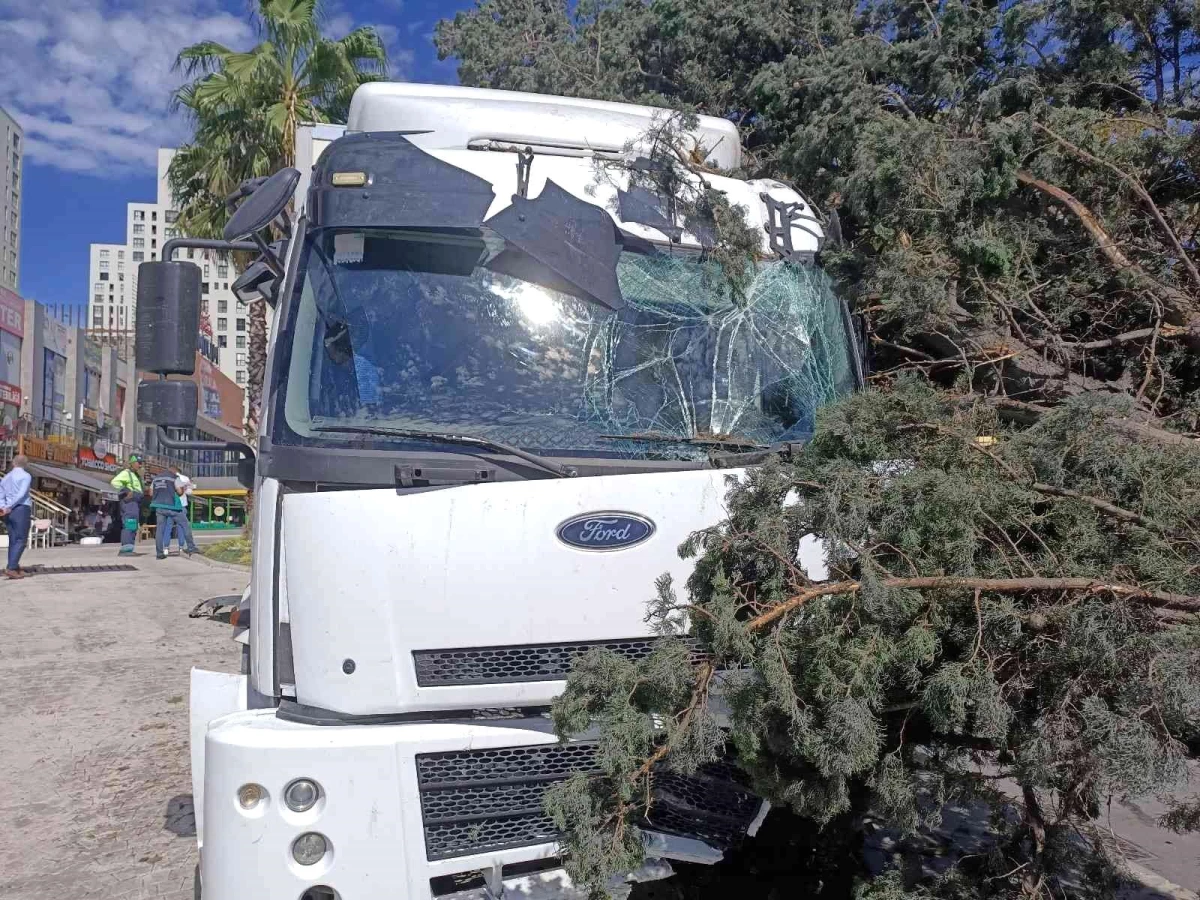 Son dakika haberleri! Esenyurt\'ta freni boşalan kamyonet dehşet saçtı: 2 yaralı