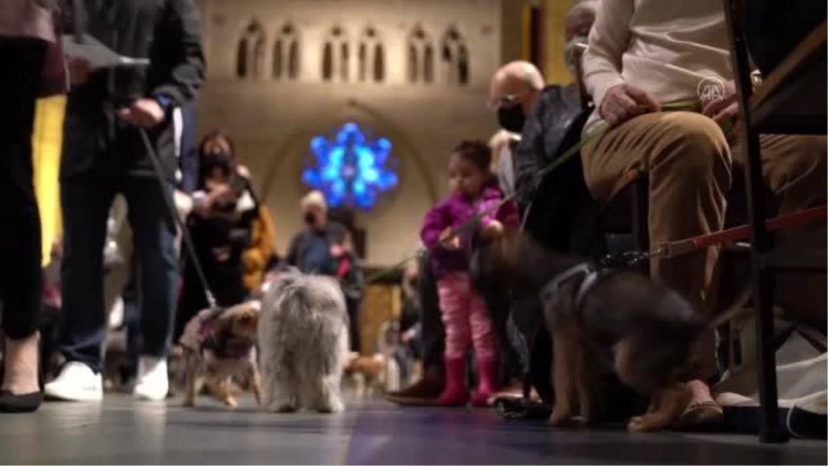 Evcil hayvan sahipleri Manhattan\'daki \'Blessing of the Animals\' etkinliğine katıldı