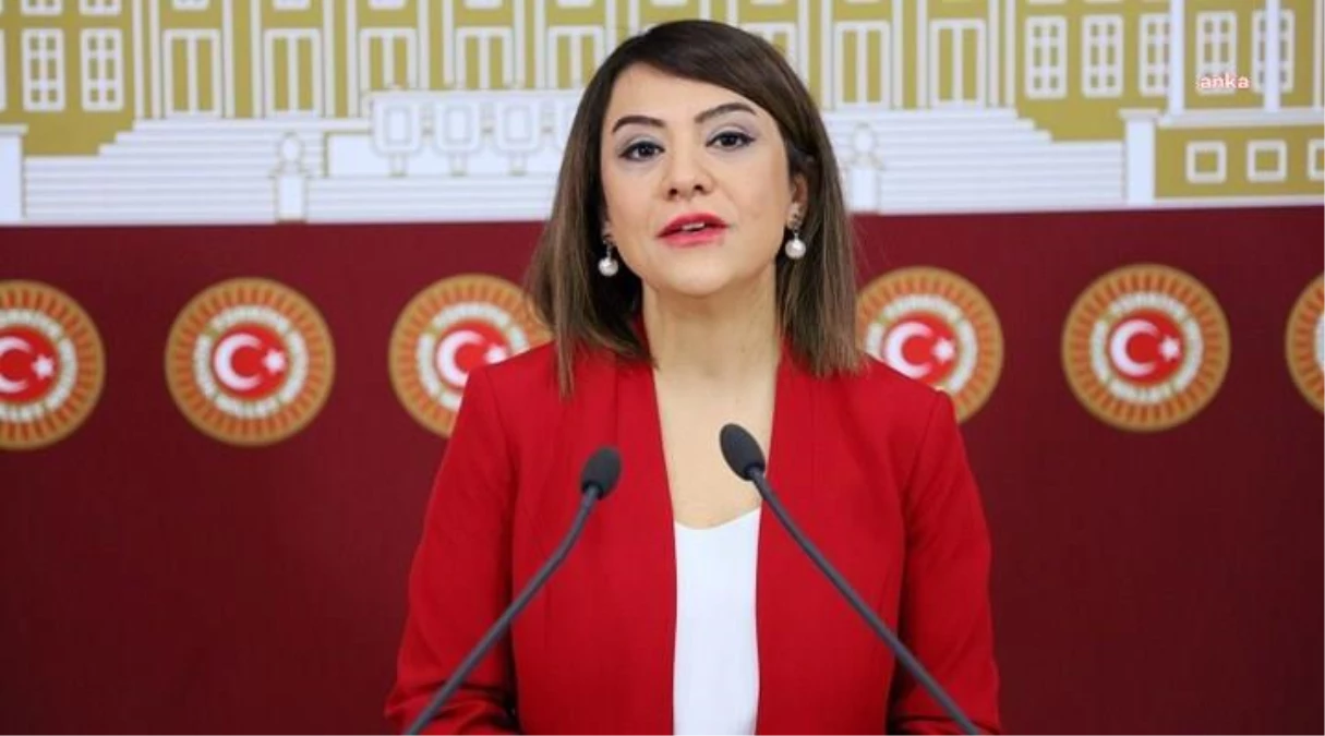 Gamze Taşcıer: Görmezden Gelinmeye Karşı Eczacıların Daha Fazla Sabredecek Takati Kalmadı