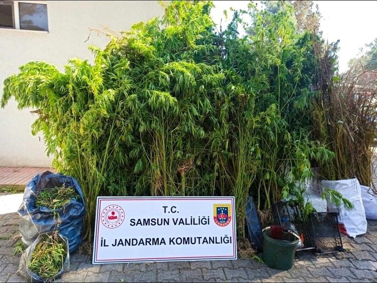 Son dakika haberleri! Jandarmadan uyuşturucu ve kaçakçılık operasyonları