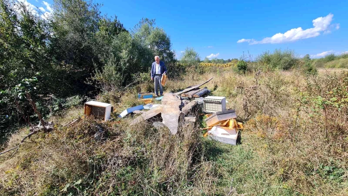 Kastamonu 3. sayfa haberi | Kastamonu\'da ayılar arı kovanlarını parçaladı