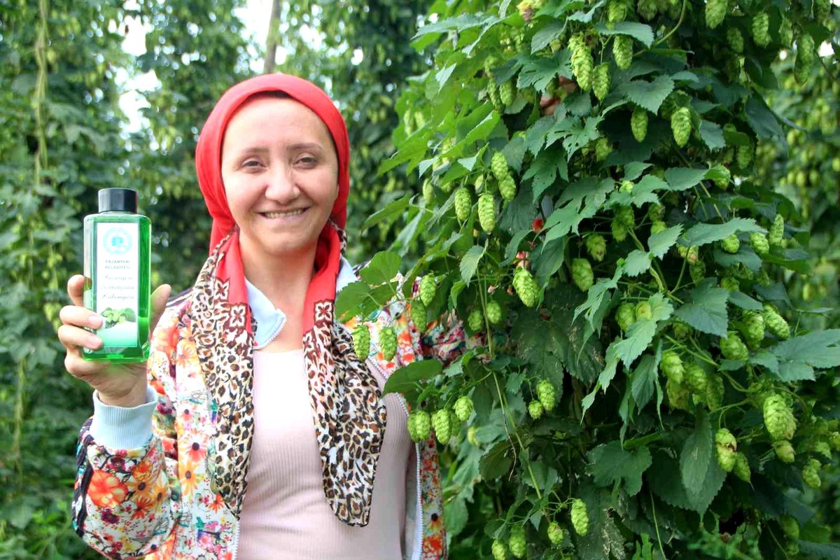 Bilecik haberi... Türkiye\'de sadece Bilecik\'te yetişen şerbetçi otunun kolonyasında seri üretime geçilecek