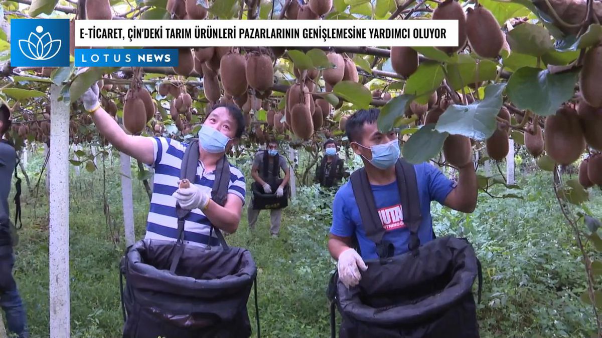 Video: E-ticaret, Çin\'deki Tarım Ürünleri Pazarlarının Genişlemesine Yardımcı Oluyor