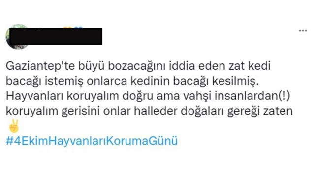 Büyü bozmak için kedilerin bacaklarını kestiler