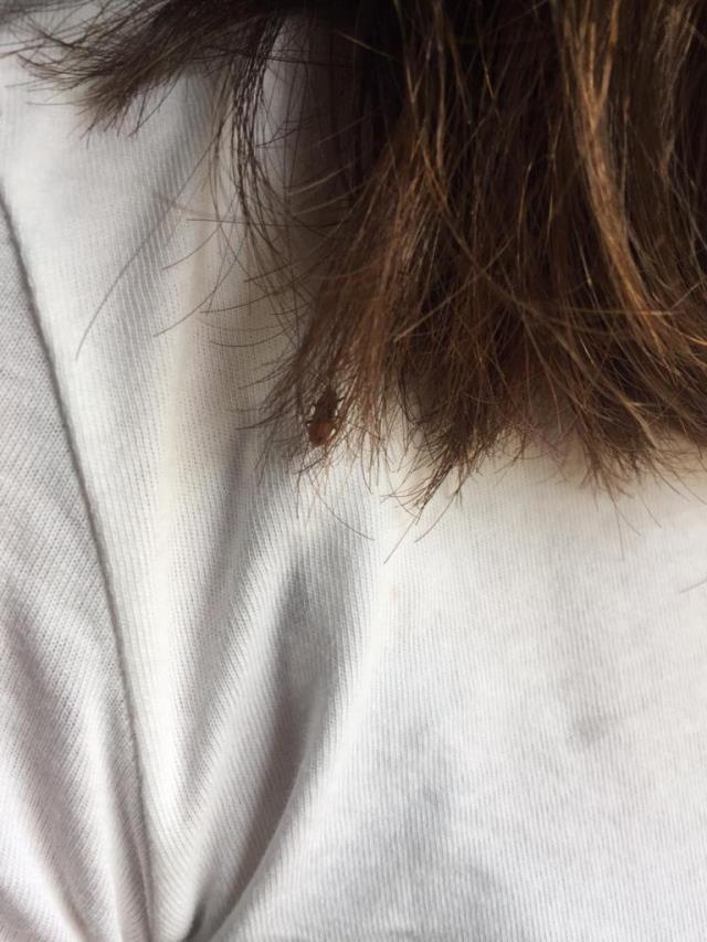 Edirne'deki KYK yurdunda kalan öğrencilerden ürküten sözler: Arkadaşımızı yatağında yılan ısırdı