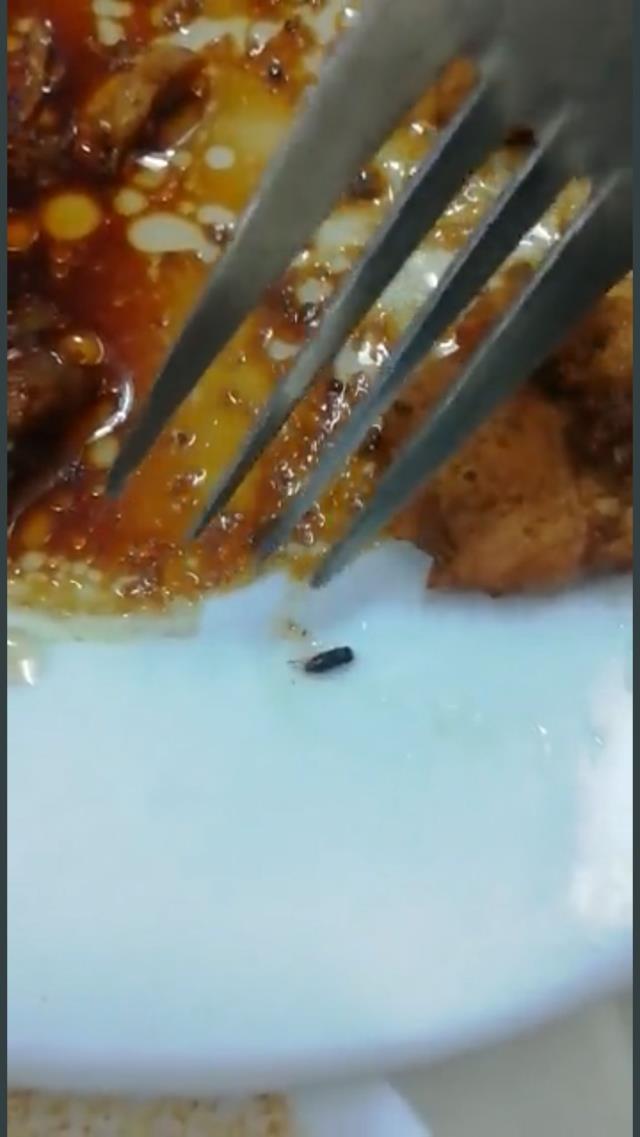 Edirne'deki KYK yurdunda kalan öğrencilerden ürküten sözler: Arkadaşımızı yatağında yılan ısırdı