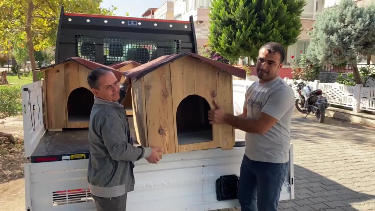 Edremit\'te Hayvanları Koruma Gününde Kedi Evleri Dağıtıldı