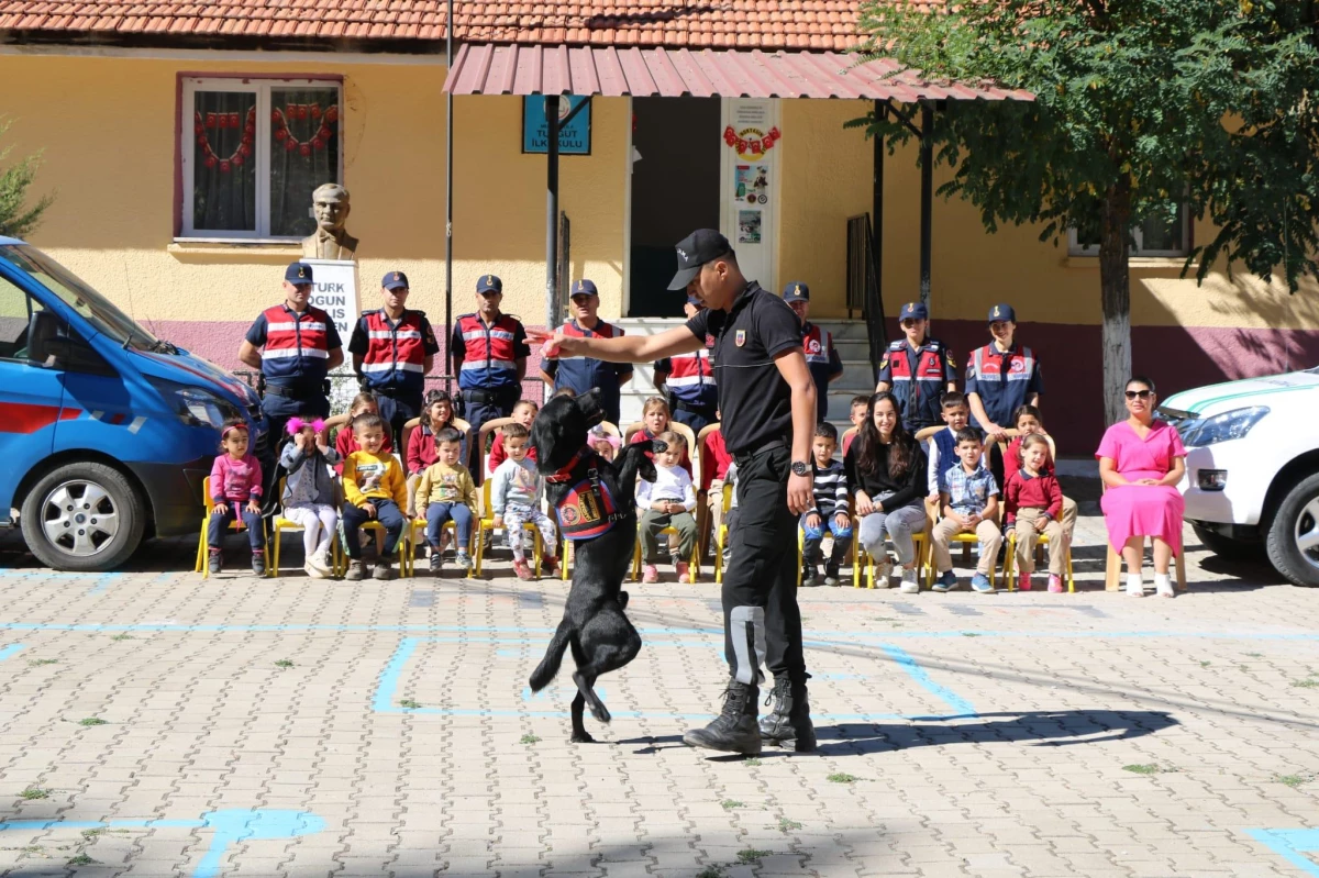 Muğla\'da jandarma ekipleri arama kurtarma köpeğiyle öğrencilere gösteri yaptı