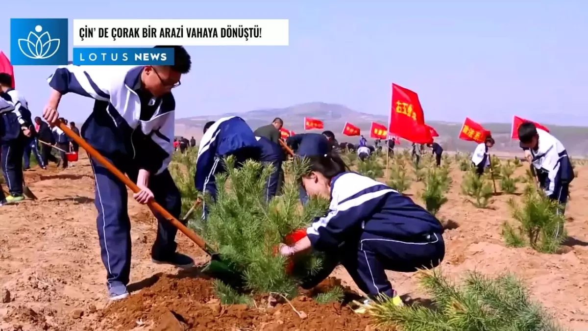 Video: Çin\'de Çorak Bir Arazi Vahaya Dönüştü