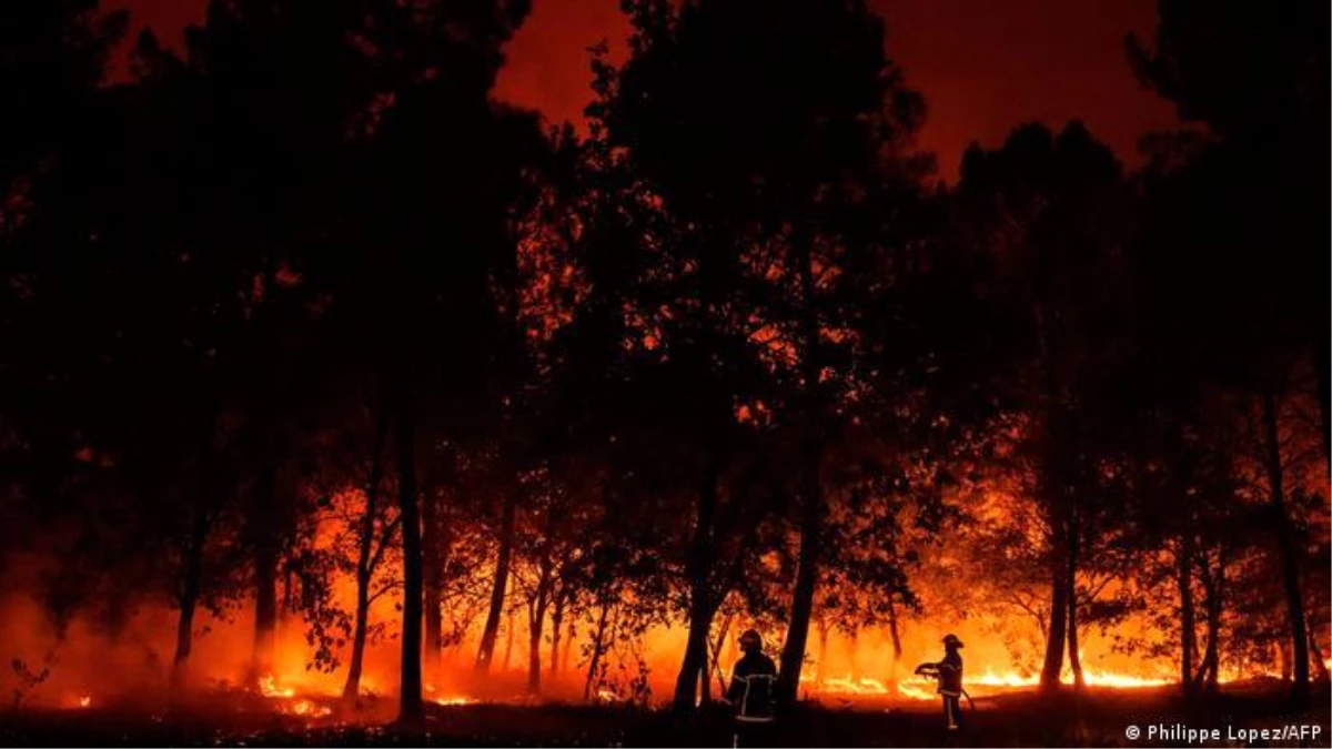 AB\'den orman yangınlarına karşı 170 milyon euro yatırım