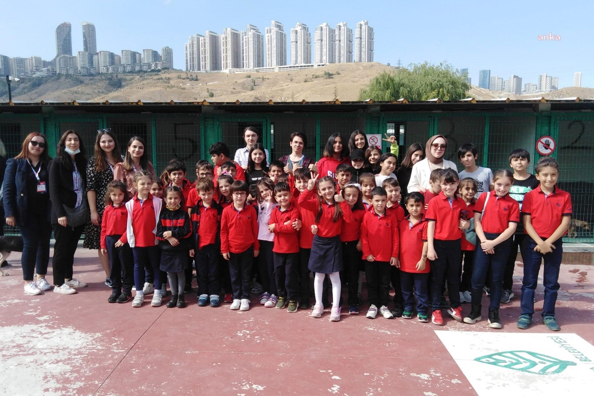Çankaya\'da Sokak Hayvanlarına Bir Günde 635 Ziyaretçi
