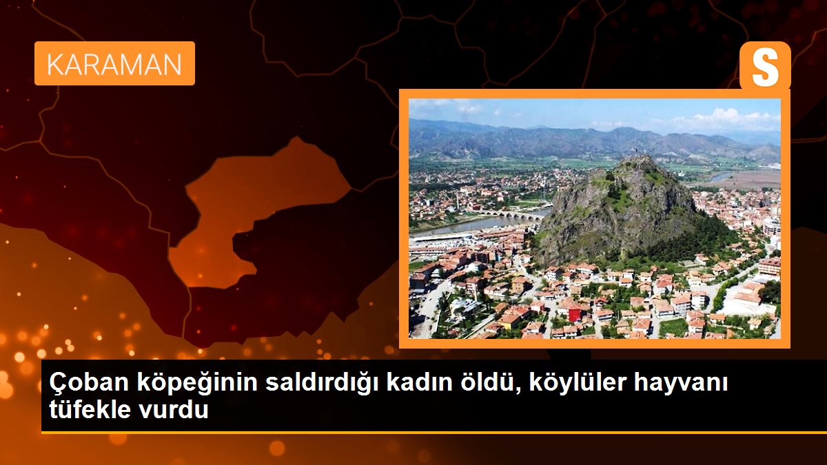 Son dakika haberi! Çoban köpeğinin saldırdığı kadın öldü, köylüler hayvanı tüfekle vurdu