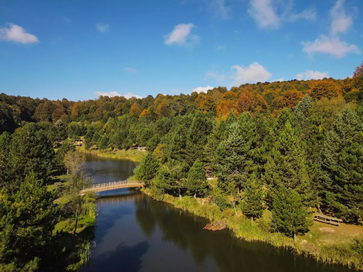 Domaniç Dağları sonbaharın sarı tonlarına bürünmeye başladı