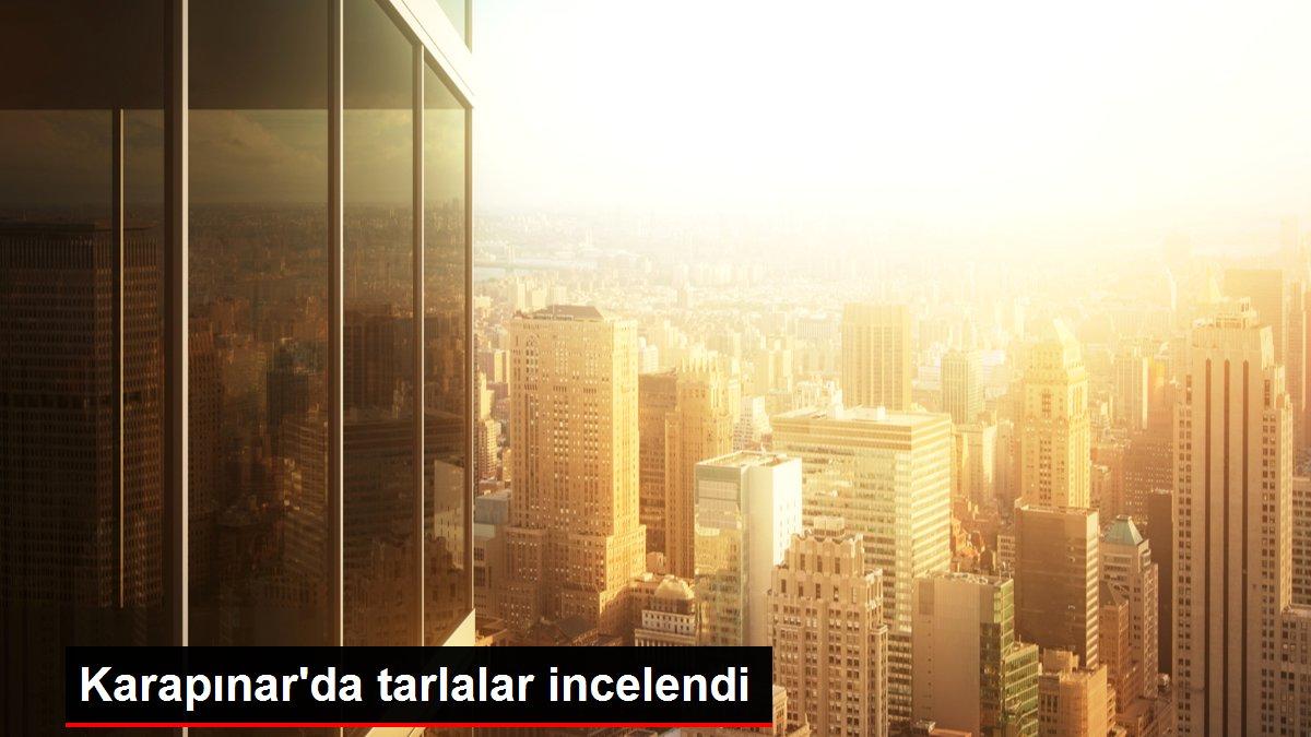 Karapınar'da tarlalar incelendi