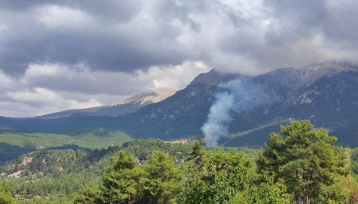 Muğla\'da çıkan orman yangınına müdahale ediliyor